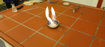 2024_17_1778848939566