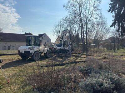 25.03.2026_1831654531173