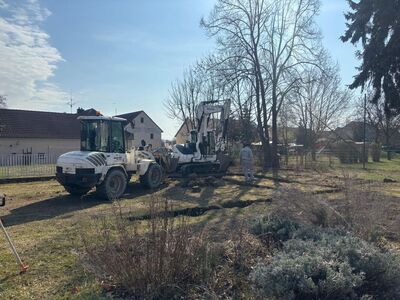 25.03.2026_1_1865051594263