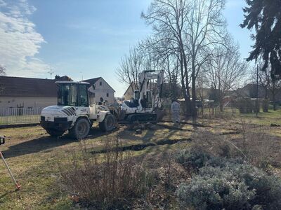 25.03.2026_2_1785615322010