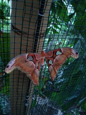 Abschlussfahrt_AK_22_05_2022_15_1783378798704