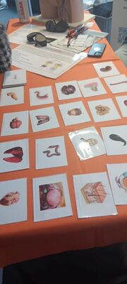 Berufemarkt_6_1821803954573