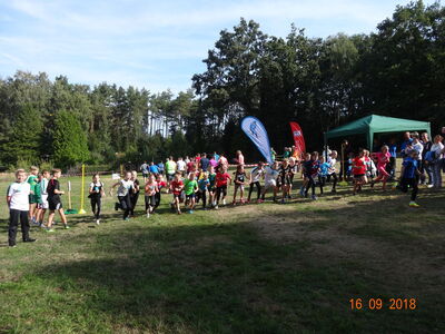 Crosslauf_2018_2_1810296615401
