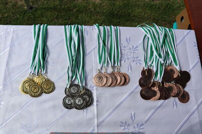 Faustball_Summercup_2023_24_6_1834972672612