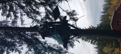 Gruenheide_33_1787383121200