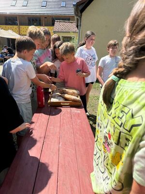 Holscha_Kl_5_2026_29_1791032838380