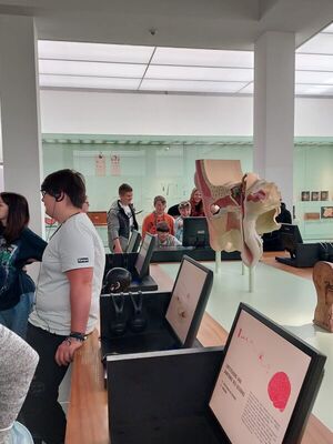 Hygienemuseum_Kl_7_2021_22_19_1837928602737