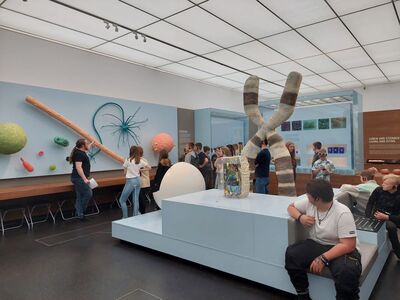 Hygienemuseum_Kl_7_2021_22_8_1771273111879