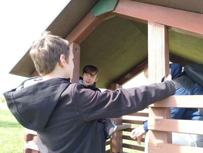 IMG-20260506-WA0003_1879760617238