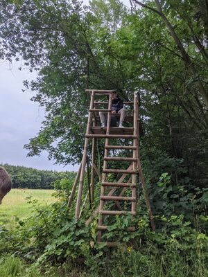 Klassenfahrt_8_1_1765004034848