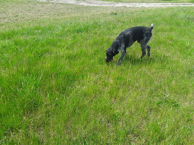 Mensch_und_Natur_5h_2023_24_2_1851146162141