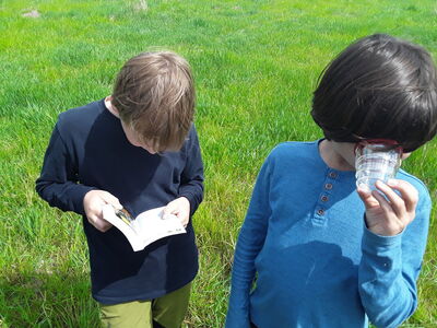 Mensch_und_Natur_5h_2023_24_9_1854881198207