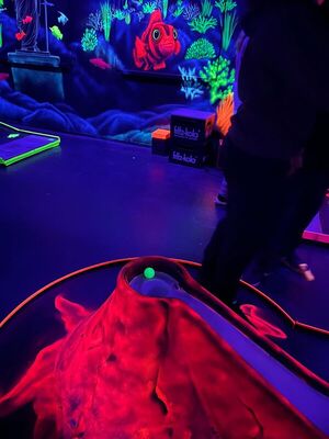 Minigolf_6s_und_6t_14_1847908677058