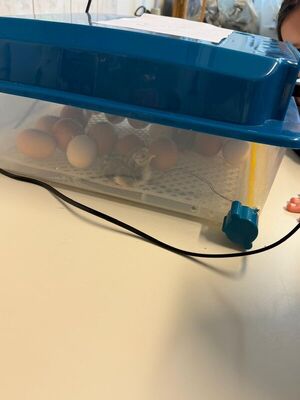 Schulkuecken_2026_5_1789397030807