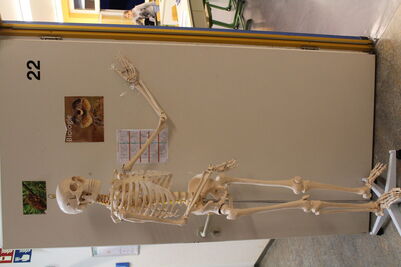 Tag_der_offenen_Tuer_26_2_1793360858728