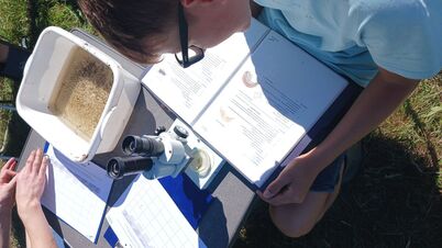 Umweltmobil_7_1792191867163