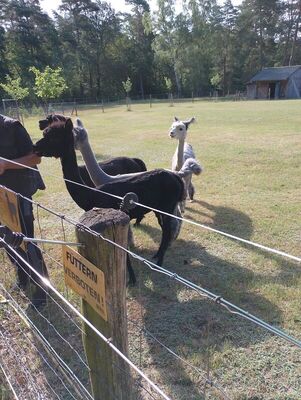 Wandertag_5b_2023_24_11_1853548769915