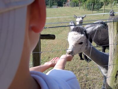 Wandertag_5b_2023_24_16_1852683955219