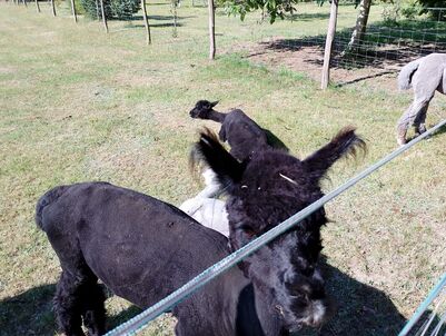 Wandertag_5b_2023_24_17_1808413363607