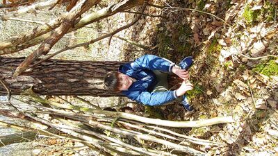 Wandertag_5h_03_24_2_1790833243354