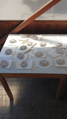 kennenlernfahrt-2025_38_1783872691499