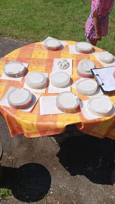 kennenlernfahrt-2025_39_1823356957777