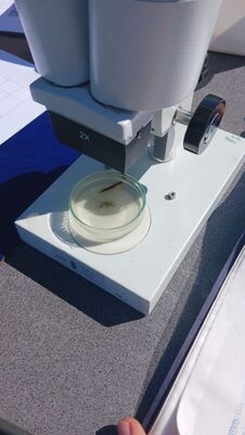 umweltmobil_06_1782821870441