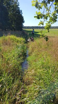 umweltmobil_07_1848643747839