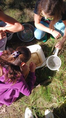 umweltmobil_09_1819848526816